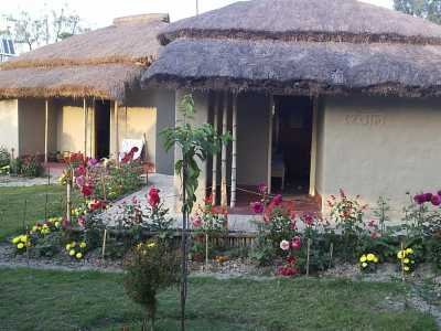 Sunderbans Jungle Camp